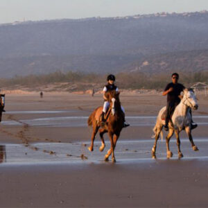 Taghazout Horse Ride Tour