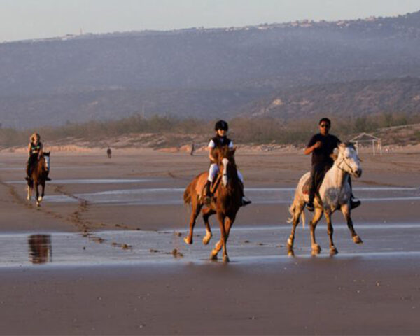 Taghazout Horse Ride Tour