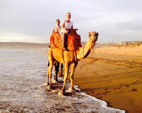 Camel ride Tour in Taghazout